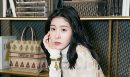 吃瓜娱乐圈狐狸是谁啊小说,揭秘狐狸真身之谜